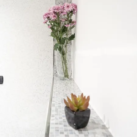 White Flat In Center By Rent * Como