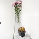 White Flat In Center By Rent * Como