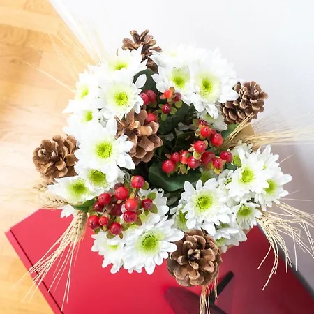 White Flat In Center By Rent *